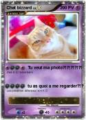 Chat bizzard