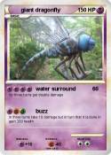 giant dragonfly