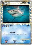 Shark