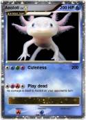 Axolotl