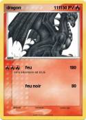 dragon 111
