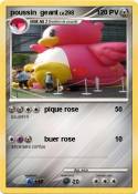 poussin geant