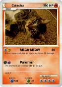 Catachu