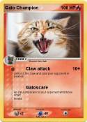 Gato Champion