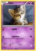 kitten