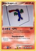 Ninja Dragon