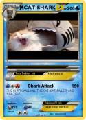 CAT SHARK
