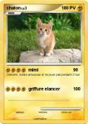 chaton