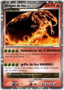 Dragon de feu