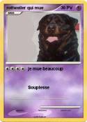 rottweiler qui