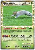 SQUIRREL!
