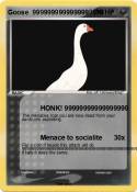 Goose 999999999