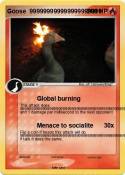 Goose 999999999