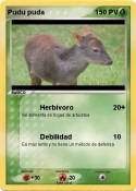 Pudu puda