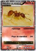 mandibul de sav