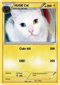 HUGE Cat