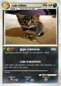 cute kitten