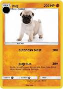 pug