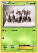 Cates