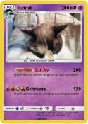 Iluticat