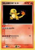SALAMECHE* N.10