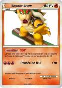 Bowser Snow