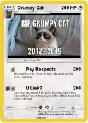 Grumpy Cat