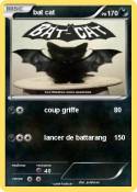 bat cat
