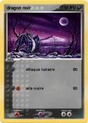dragon noir