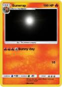 Sunwrap