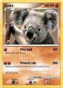 Koala