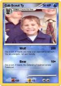 Cub Scout Ty
