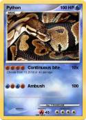 Python