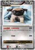 Tecup Pug