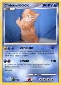 Chaton