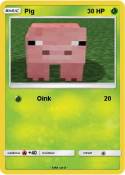 Pig