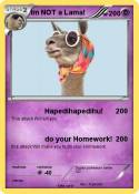 Im NOT a Lama!
