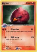 Big bird