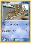 chat furtife