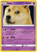 Doge