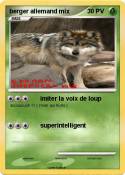 berger allemand