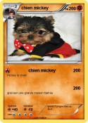 chien mickey