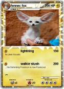 fennec fox