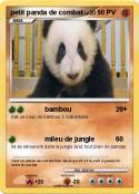 petit panda de