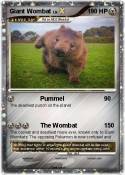 Giant Wombat