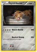 Pig in A Bucket
