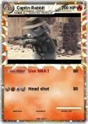 Captin Rabbit