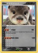 otter
