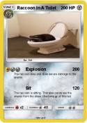Raccoon In A