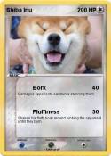 Shiba Inu